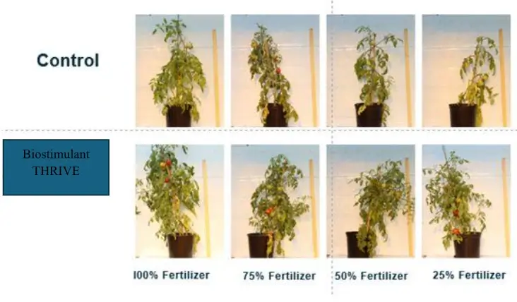 Hemp and Carbon Sequestration: Building a Sustainable Future Through Biostimulants